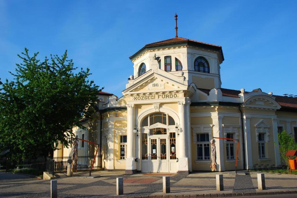 Greenpark Garden Villa Family Apartments Near Tokaj Szerencs Exteriör bild