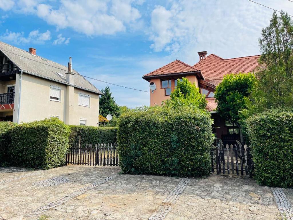 Greenpark Garden Villa Family Apartments Near Tokaj Szerencs Exteriör bild