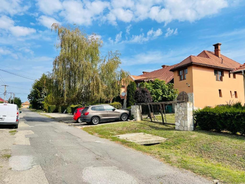 Greenpark Garden Villa Family Apartments Near Tokaj Szerencs Exteriör bild